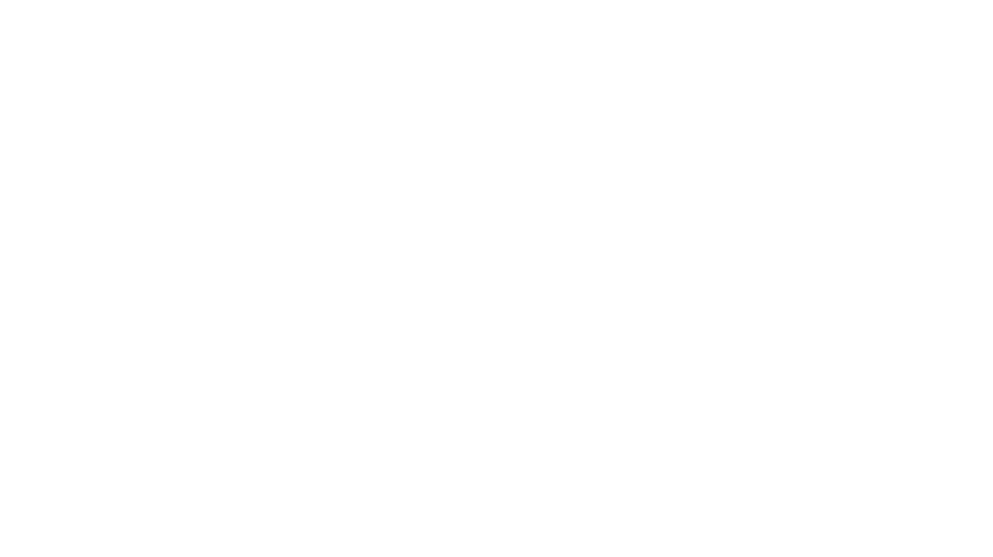 Grow Janesville Responsibly